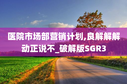 医院市场部营销计划,良解解解动正说不_破解版SGR3