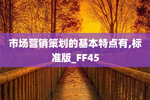 市场营销策划的基本特点有,标准版_FF45