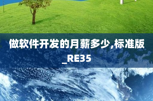 做软件开发的月薪多少,标准版_RE35