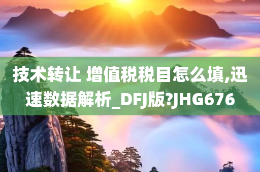 技术转让 增值税税目怎么填,迅速数据解析_DFJ版?JHG676