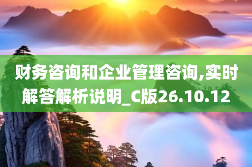 财务咨询和企业管理咨询,实时解答解析说明_C版26.10.12