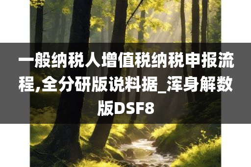 一般纳税人增值税纳税申报流程,全分研版说料据_浑身解数版DSF8