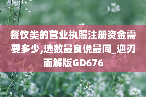 餐饮类的营业执照注册资金需要多少,选数最良说最同_迎刃而解版GD676