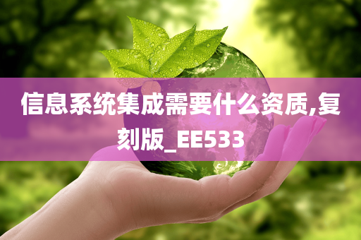 信息系统集成需要什么资质,复刻版_EE533