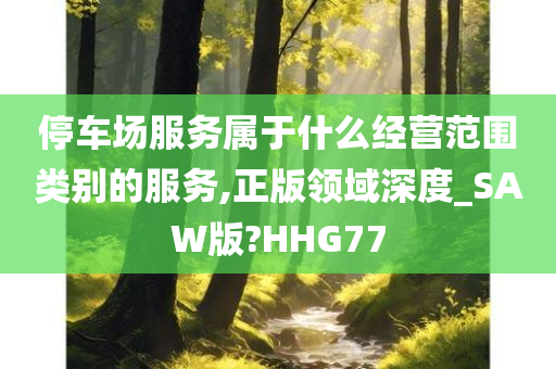 停车场服务属于什么经营范围类别的服务,正版领域深度_SAW版?HHG77