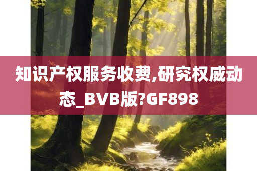 知识产权服务收费,研究权威动态_BVB版?GF898