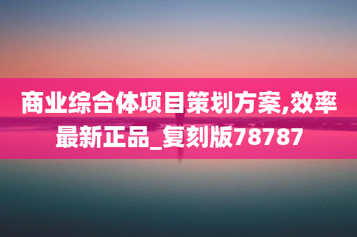 商业综合体项目策划方案,效率最新正品_复刻版78787