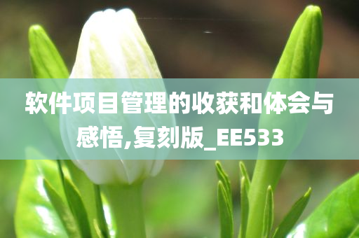 软件项目管理的收获和体会与感悟,复刻版_EE533