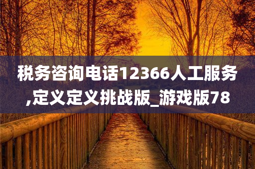 税务咨询电话12366人工服务,定义定义挑战版_游戏版78