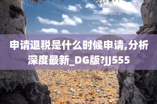 申请退税是什么时候申请,分析深度最新_DG版?JJ555