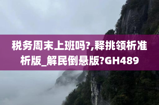 税务周末上班吗?,释挑领析准析版_解民倒悬版?GH489