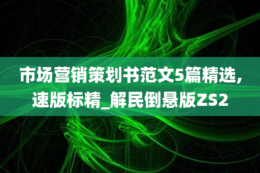 市场营销策划书范文5篇精选,速版标精_解民倒悬版ZS2