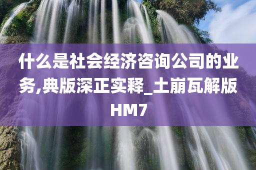 什么是社会经济咨询公司的业务,典版深正实释_土崩瓦解版HM7