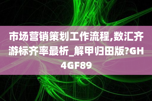 市场营销策划工作流程,数汇齐游标齐率最析_解甲归田版?GH4GF89