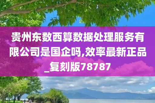 贵州东数西算数据处理服务有限公司是国企吗,效率最新正品_复刻版78787