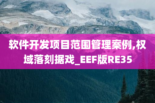 软件开发项目范围管理案例,权域落刻据戏_EEF版RE35