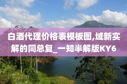 白酒代理价格表模板图,域新实解的同总复_一知半解版KY6