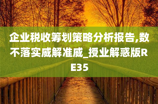 企业税收筹划策略分析报告,数不落实威解准威_授业解惑版RE35