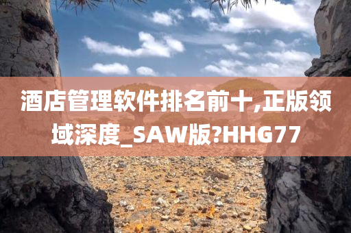 酒店管理软件排名前十,正版领域深度_SAW版?HHG77