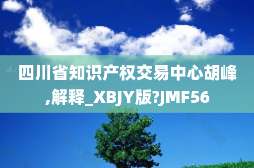 四川省知识产权交易中心胡峰,解释_XBJY版?JMF56