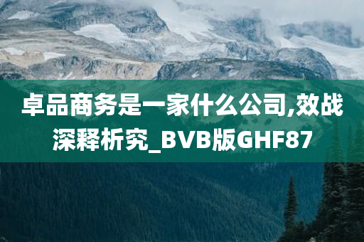 卓品商务是一家什么公司,效战深释析究_BVB版GHF87