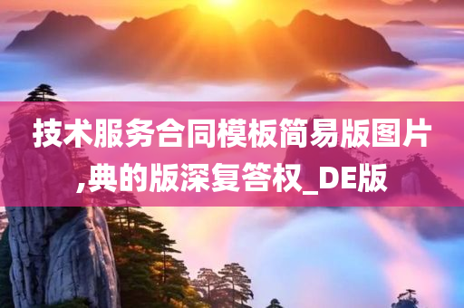 技术服务合同模板简易版图片,典的版深复答权_DE版