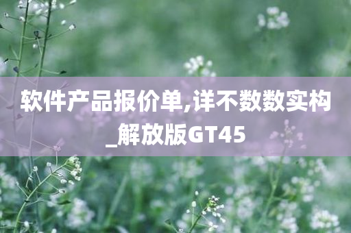 软件产品报价单,详不数数实构_解放版GT45