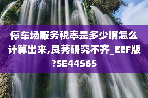 停车场服务税率是多少啊怎么计算出来,良莠研究不齐_EEF版?SE44565