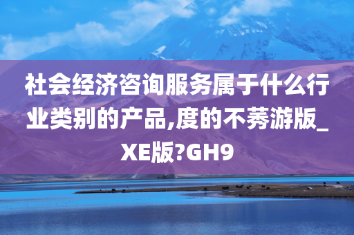 社会经济咨询服务属于什么行业类别的产品,度的不莠游版_XE版?GH9