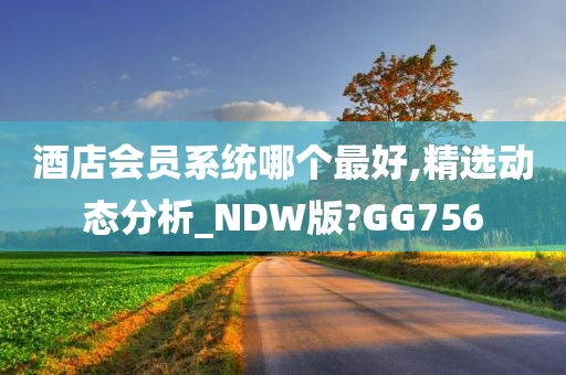 酒店会员系统哪个最好,精选动态分析_NDW版?GG756