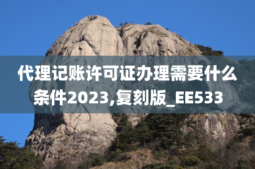 代理记账许可证办理需要什么条件2023,复刻版_EE533