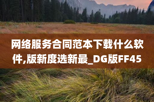 网络服务合同范本下载什么软件,版新度选新最_DG版FF45