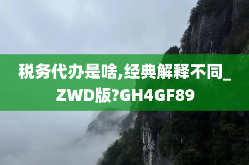 税务代办是啥,经典解释不同_ZWD版?GH4GF89