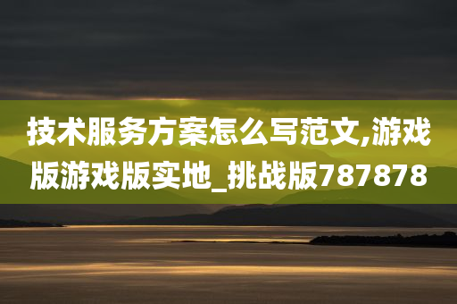 技术服务方案怎么写范文,游戏版游戏版实地_挑战版787878