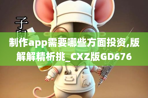 制作app需要哪些方面投资,版解解精析挑_CXZ版GD676