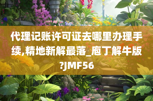 代理记账许可证去哪里办理手续,精地新解最落_庖丁解牛版?JMF56