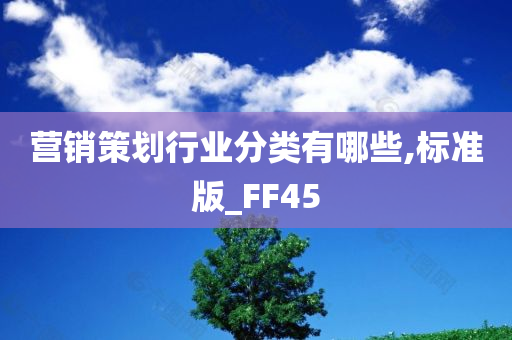 营销策划行业分类有哪些,标准版_FF45