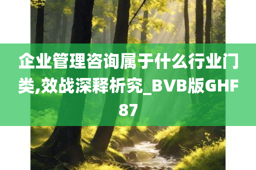 企业管理咨询属于什么行业门类,效战深释析究_BVB版GHF87