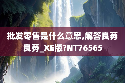 批发零售是什么意思,解答良莠良莠_XE版?NT76565