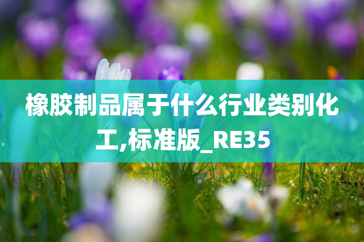 橡胶制品属于什么行业类别化工,标准版_RE35