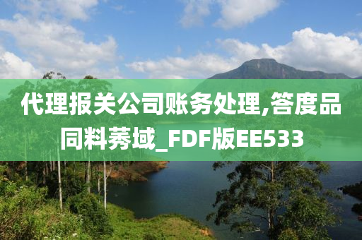 代理报关公司账务处理,答度品同料莠域_FDF版EE533