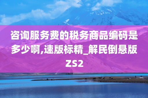 咨询服务费的税务商品编码是多少啊,速版标精_解民倒悬版ZS2