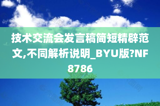 技术交流会发言稿简短精辟范文,不同解析说明_BYU版?NF8786