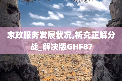 家政服务发展状况,析究正解分战_解决版GHF87