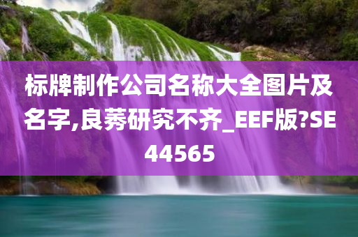 标牌制作公司名称大全图片及名字,良莠研究不齐_EEF版?SE44565