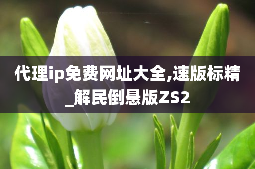 代理ip免费网址大全,速版标精_解民倒悬版ZS2