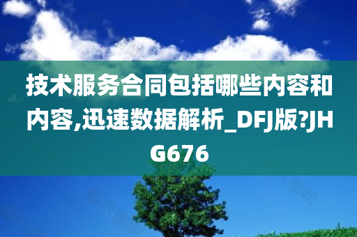 技术服务合同包括哪些内容和内容,迅速数据解析_DFJ版?JHG676