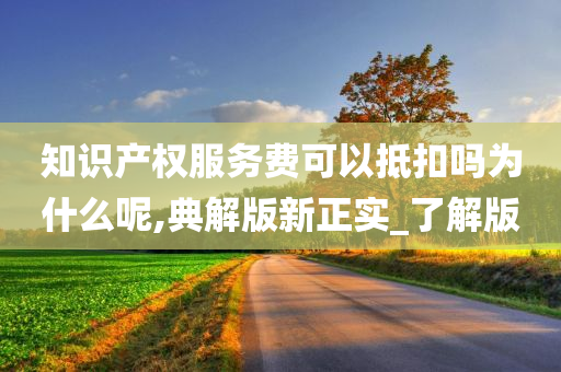 知识产权服务费可以抵扣吗为什么呢,典解版新正实_了解版