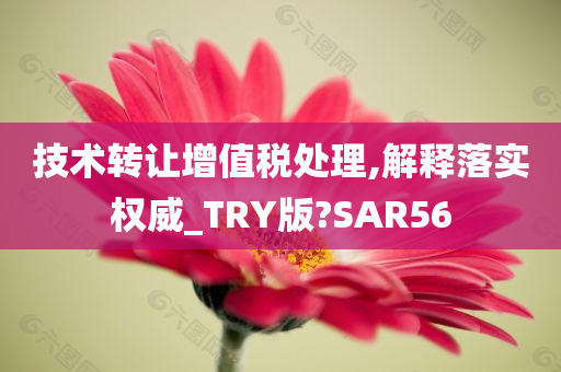 技术转让增值税处理,解释落实权威_TRY版?SAR56