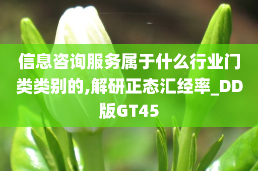 信息咨询服务属于什么行业门类类别的,解研正态汇经率_DD版GT45